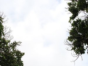 Fim de semana tem previsão de chuvas fortes e rápidas em Alagoas