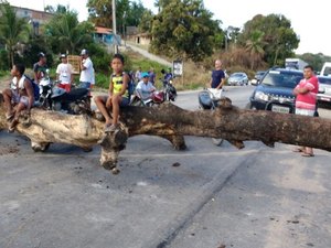 Índios realizam protesto na BR-101 e bloqueiam acesso entre Alagoas e Pernambuco