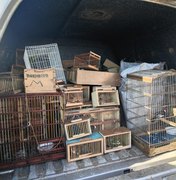 Protetor dos Biomas: PM apreende 442 animais silvestres em Alagoas