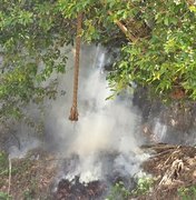 Polícia Militar registra ocorrência de incêndio em área de preservação em Fernão Velho