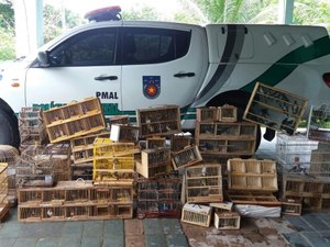 Operação resgata diversas aves silvestres em feira livre