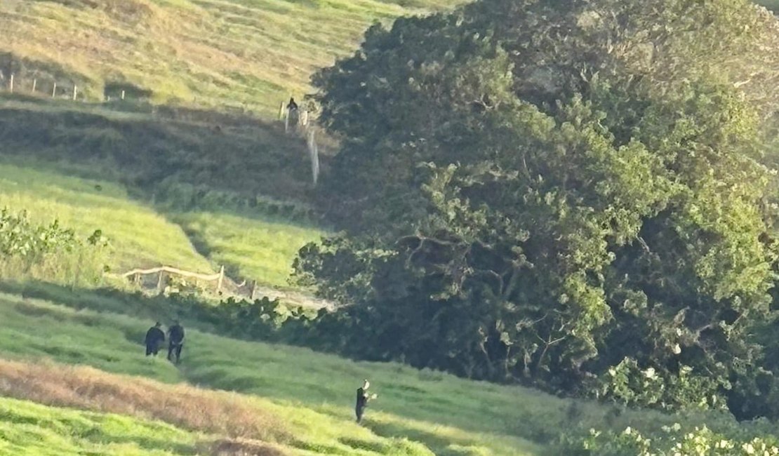 Operação policial deixa suspeito morto e drogas apreendidas em Porto Calvo