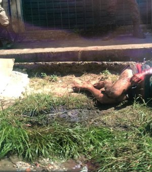 Idosa agredida pelo filho em Penedo segue internada no Hospital de Emergência em Arapiraca