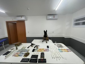Jovem é preso em flagrante por porte ilegal de arma e tráfico de drogas em Santana do Ipanema
