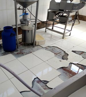 Laticínios funcionam em condições anti-higiênicas no Sertão de Alagoas 