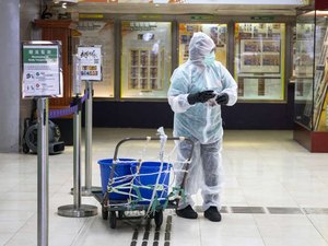 Cientistas chineses alertam para possível nova pandemia de H5N8