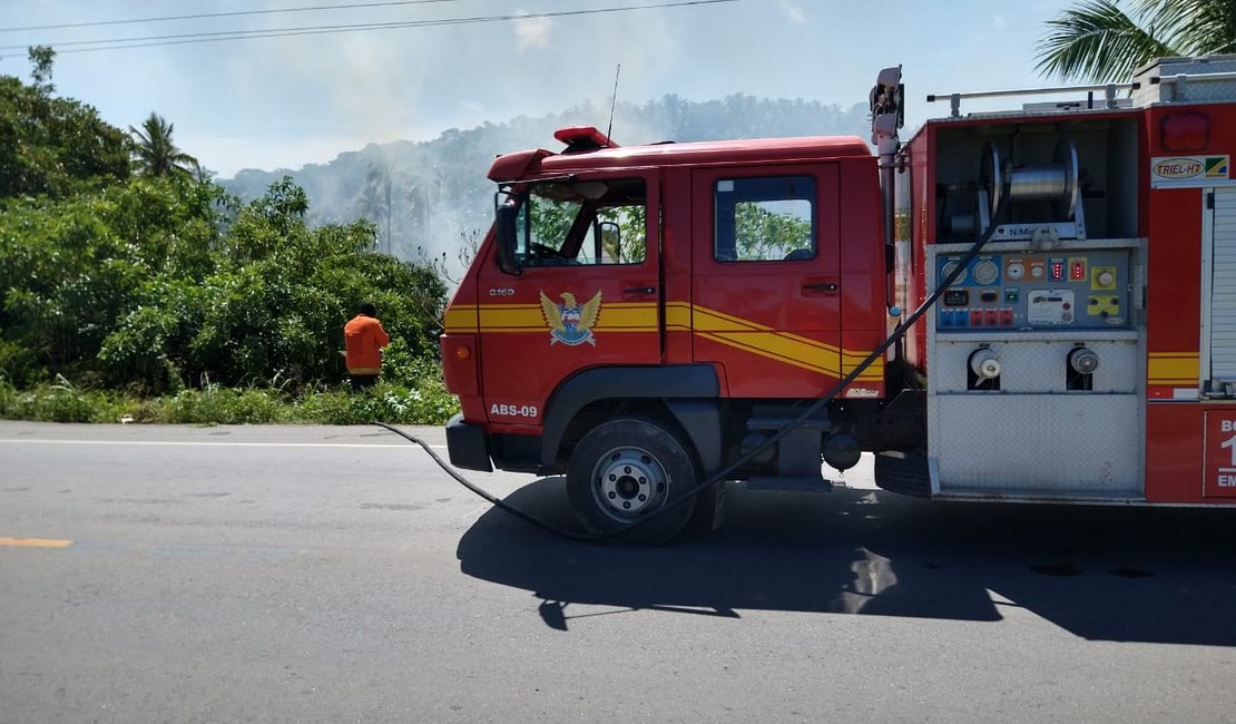 Dois incêndios são registrados nesta quarta-feira em Maragogi