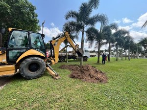 ASA inicia trabalho de ampliação do Centro de Treinamento e doa palmeiras à Prefeitura de Arapiraca