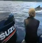 Bióloga é salva por baleia de um possível ataque de tubarão
