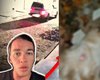 Deputado Delegado Leonan cobra punição a criminosos que atiraram em gatos no município de Arapiraca