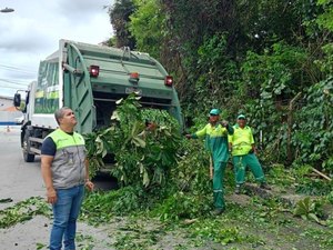Alurb realiza intervenções em árvores no bairro da Gruta de Lourdes
