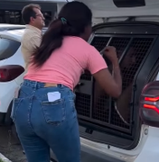 'Você não tem necessidade de fazer isso': mulher grita com preso por suspeita de roubos