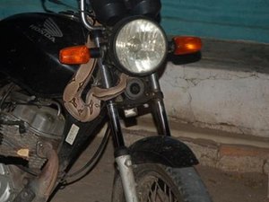 Homem leva susto quando vê cobra “pegando carona” na motocicleta