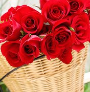 Prefeitura abre credenciamento para comércio de rosas no Dia das Mães