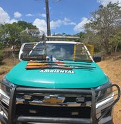 PM-AL apreende armas e resgata aves silvestres durante fiscalização no Agreste