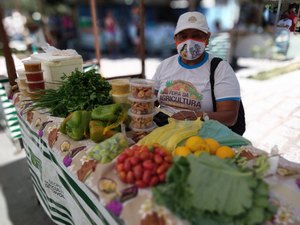 Emater contribuiu para o aporte de R$ 132 milhões na economia alagoana em 2020