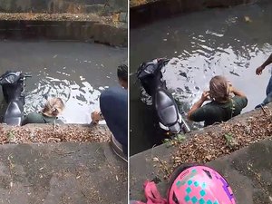 Motociclista cai no Riacho Salgadinho e populares se mobilizam para o resgate