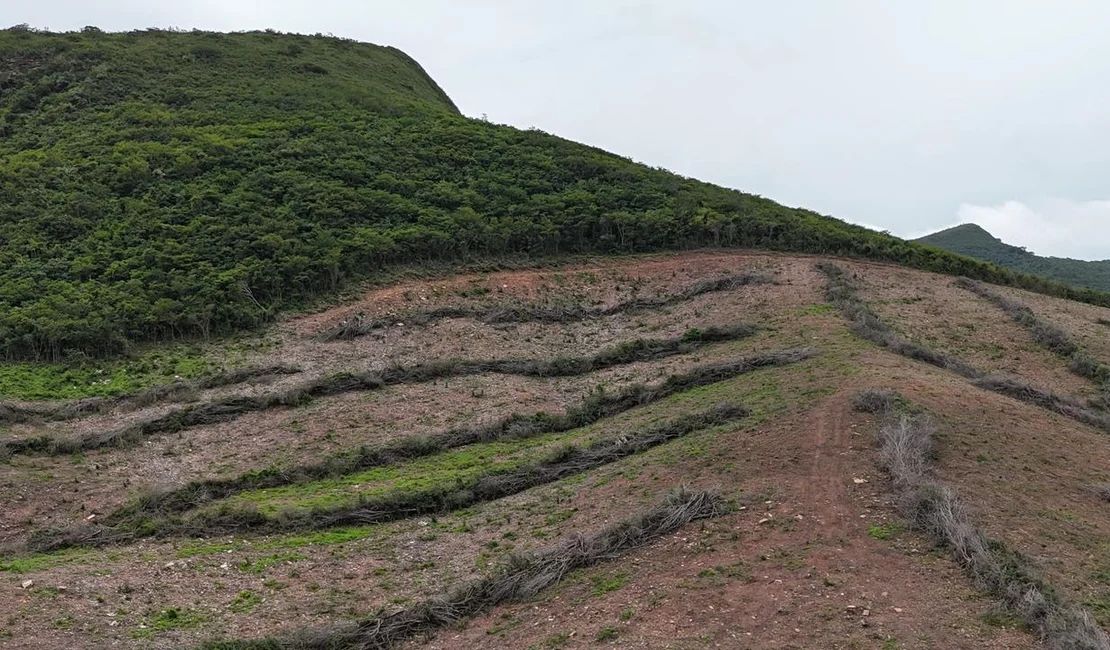 [Vídeo] Maior desmatamento já flagrado pela FPI em Alagoas devasta área equivalente a 800 campos de futebol