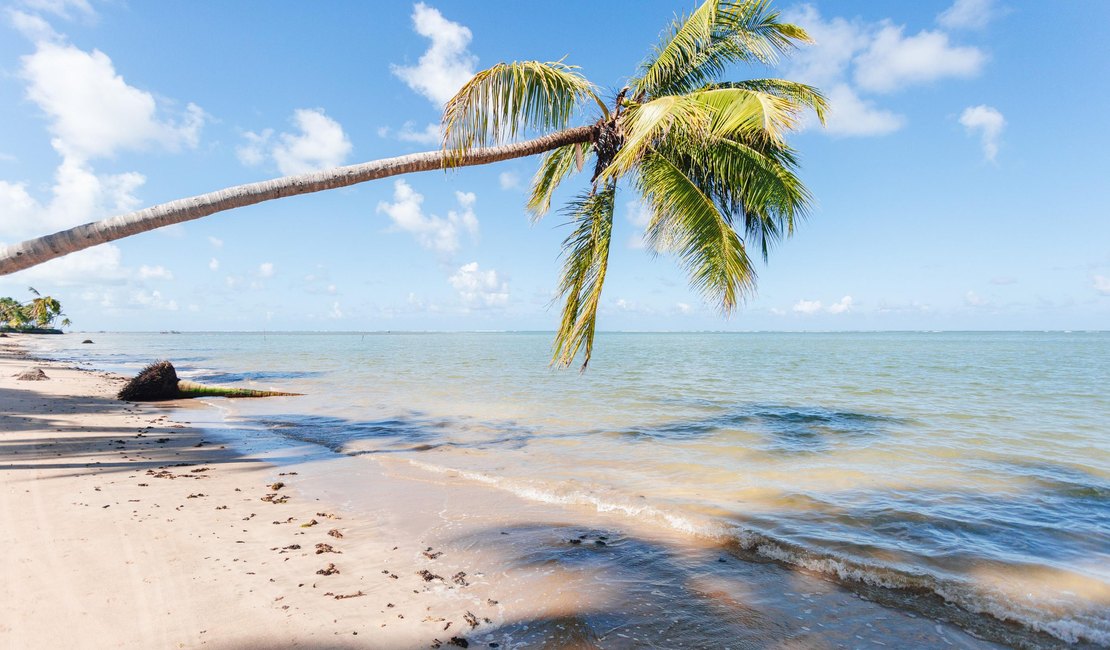 Litoral Norte é finalista em duas categorias do prêmio 'O Melhor do Turismo Brasileiro'