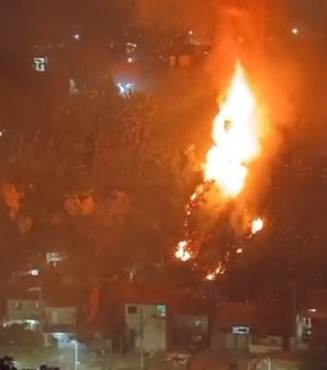 Área de mata no Vale do Reginaldo é atingida por incêndio de grandes proporções