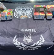 Mulher é presa com dez quilos de cocaína em bagagem no município de São Sebastião