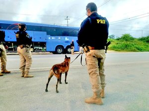 Operação policial detém 35 pessoas por tráfico de drogas em AL, PE e BA