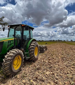 Após cerca de 20 anos, agricultores da Ponta Mofina em Penedo voltam a plantar arroz