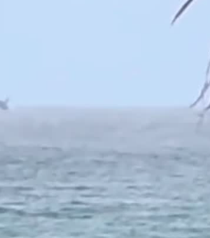 Baleia encanta banhistas com espetáculo raro na praia da Jatiúca