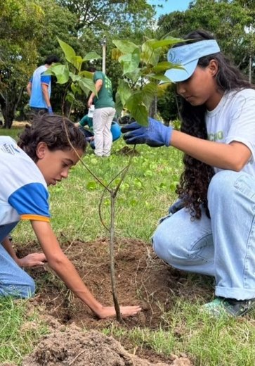 Dia da Árvore é celebrado em Maceió com plantio de 40 mudas nativas e frutíferas