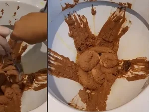 Restaurante serve sorvete de chocolate em vaso sanitário para simular fezes
