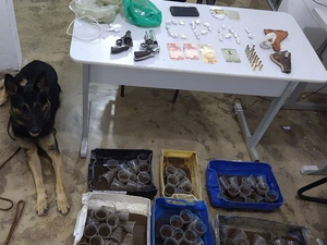 Após denúncia anônima, polícia descobre plantio de maconha em copos descartáveis