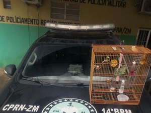 Homem que responde por tráfico é autuado por crime ambiental em Joaquim Gomes