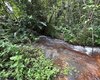 Rota do Cacau amplia ecoturismo e preservação ambiental em Matriz de Camaragibe