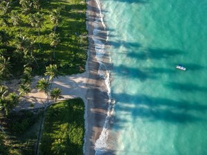 Verão Maragogi: Xaréu ‘Praia da Bruna’ encanta turistas