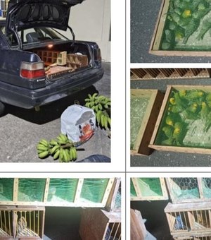 Maior traficante de aves silvestres do país é condenado a 18 anos de prisão