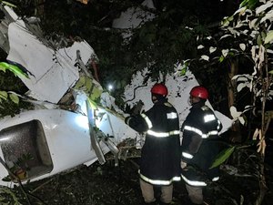Piloto e mais 3 pessoas morrem em queda de avião em região de mata em Mato Grosso
