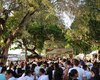 Corrida Saúde em Movimento reúne multidão em alusão aos 79 anos de Junqueiro