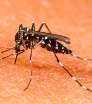 México tem primeira vacina contra dengue no mundo