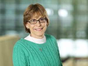 “Teremos uma vacina, se tudo correr bem. O desafio será distribuí-la”