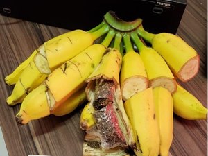 Mulher é presa ao entrar em presídio com drogas em cacho de bananas