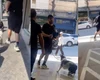 Homem invade pet shop, rouba cachorro que estava para adoção e deixa funcionários feridos