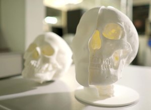 Pesquisadores recriam parte do acervo do Museu Nacional, incluindo o crânio de Luzia