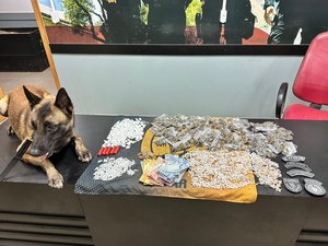 Polícia apreende cerca de 2 mil pedras de crack em Palmeira dos Índios