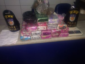 Policiais civis e militares apreendem mais de 23 kg de maconha escondida em mata