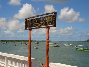 Trecho do Rio São Francisco em Piaçabuçu está impróprio para banho