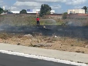 [Vídeo] Incêndio atinge terreno baldio no bairro Brasiliana, em Arapiraca