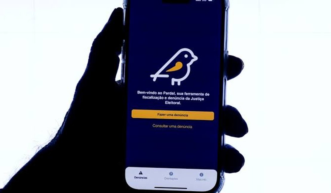 Aplicativo Pardal registra 22 denúncias de propaganda irregular em Arapiraca