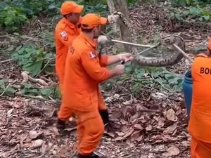 Cobra é capturada no Bosque das Arapiracas; tamanho impressiona moradores