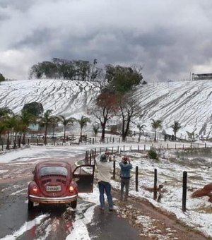 Só parece neve: frio deixa plantações cobertas no sul de Minas Gerais