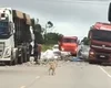 Caminhoneiro perde o controle da direção ao tentar evitar acidente em São Sebastião